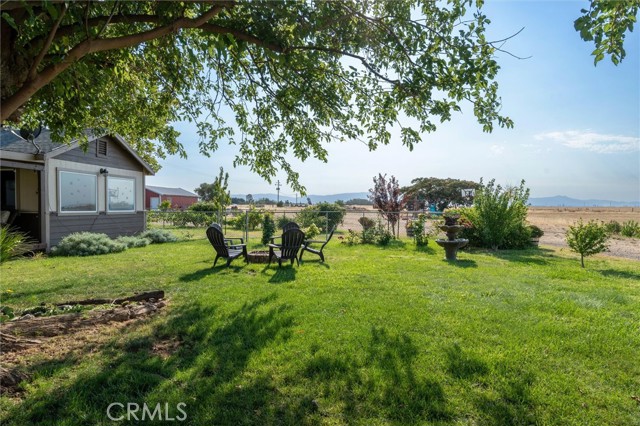 LAWN AREA