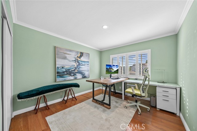 Image 25 of 42 For 6 Blazing Star