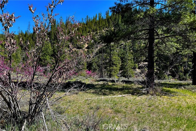 Detail Gallery Image 20 of 35 For 79402 State Highway 3, Trinity Center,  CA 96091 - – Beds | – Baths