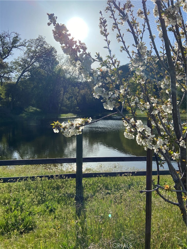 https://media.crmls.org/medias/2423ceb4-d5ee-4503-aaee-7944a0c5316b.jpg?preset=X-Large