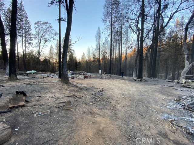 137 Webster, Berry Creek, CA, 95916 137 Webster, Berry Creek, CA, 95916