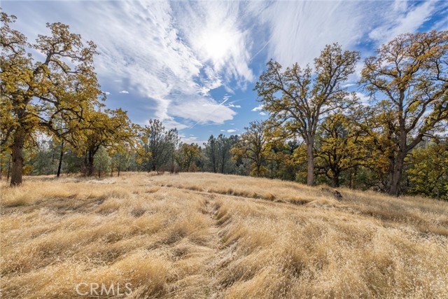 Detail Gallery Image 5 of 29 For 17333 Wagon Wheel Road, Corning,  CA 96021 - – Beds | – Baths