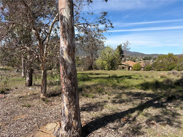 Detail Gallery Image 19 of 60 For 39175 Boulder Dr, Anza,  CA 92539 - 3 Beds | 2 Baths