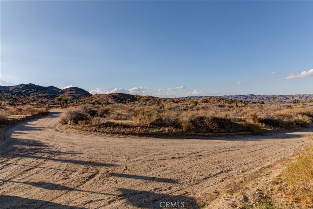 MLS #JT25229239 image #24