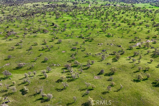 Detail Gallery Image 11 of 19 For 0 39.89 Ac Road 613, Raymond,  CA 93653 - – Beds | – Baths