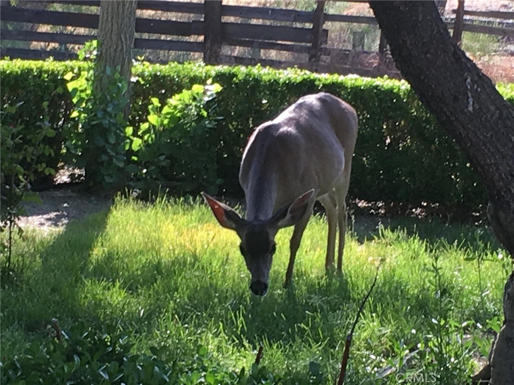 MLS #NS25280666 image #19