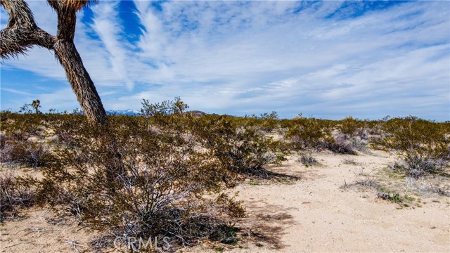 Detail Gallery Image 3 of 24 For 0 Starlight St, Yucca Valley,  CA 92285 - – Beds | – Baths