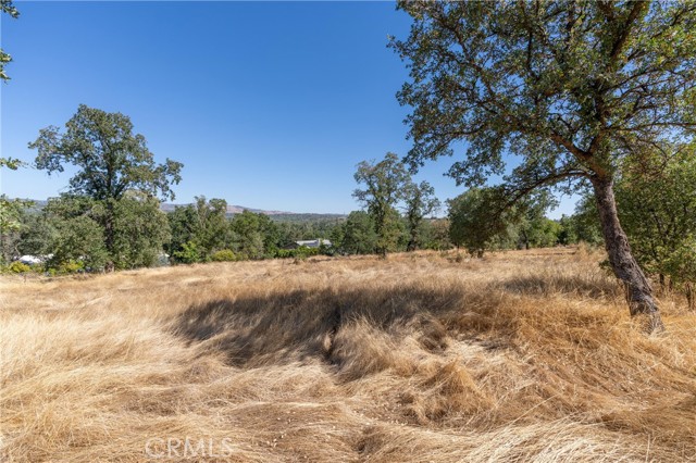 123 Edgemont Drive, Oroville, California 95966, ,Land,For Sale,123 Edgemont Drive,CRSN23162239