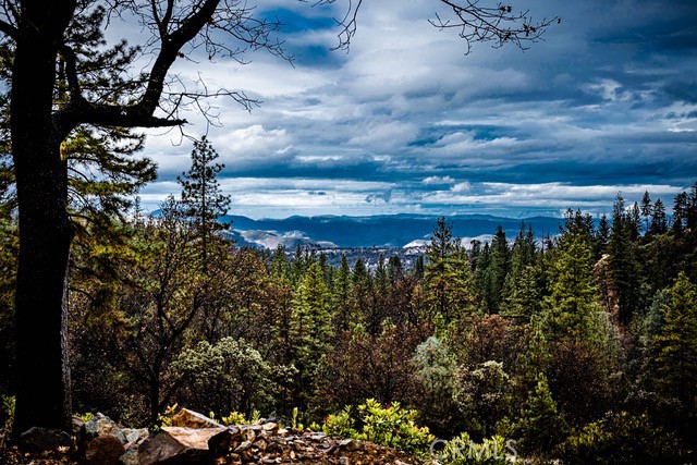 Detail Gallery Image 52 of 72 For 5333 Wilderness View Dr, Mariposa,  CA 95338 - 2 Beds | 2 Baths