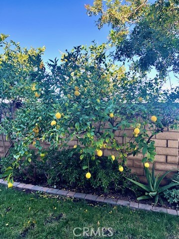 Detail Gallery Image 49 of 51 For 879 Derby, Corona,  CA 92882 - 5 Beds | 3/1 Baths