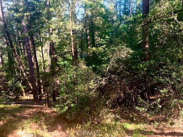 Image 2 of 7 For 17325 Fernbrook