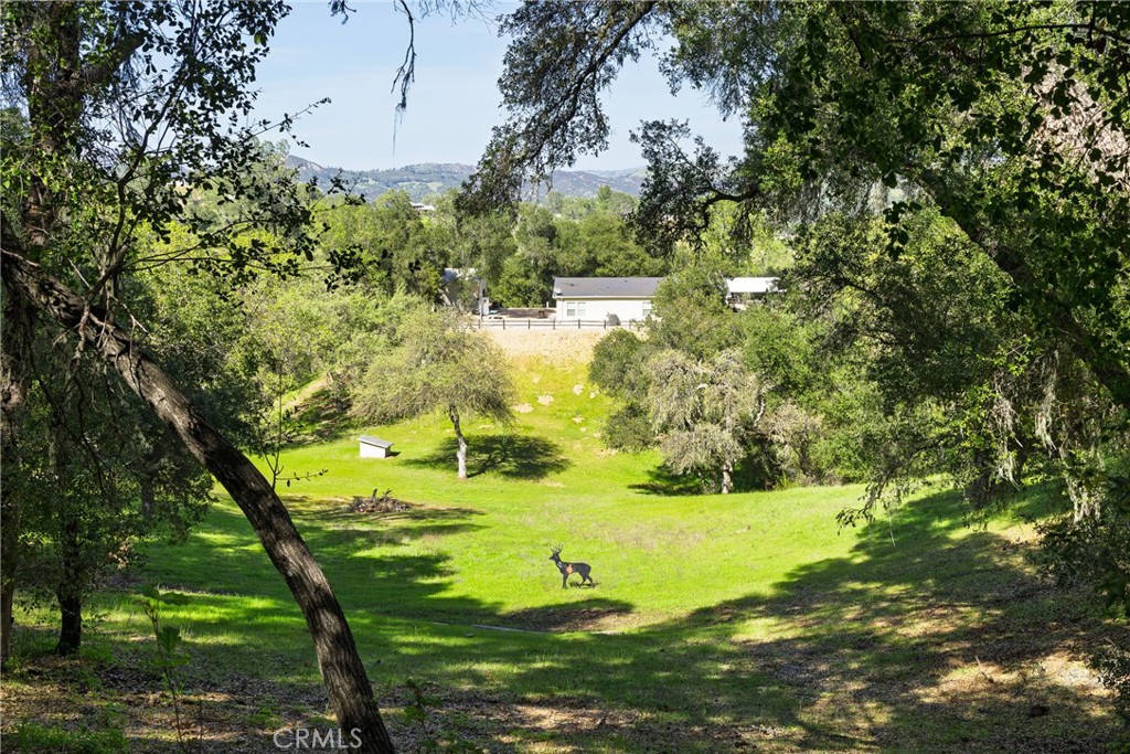 https://media.crmls.org/medias/2446cbbb-6ca0-4ca8-a1ae-fe424c7f7389.jpg?preset=X-Large