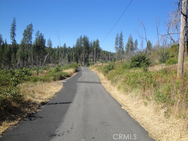 0 Meadow Lane, Berry Creek, California 95916, ,Land,For Sale,0 Meadow Lane,CROR20230183