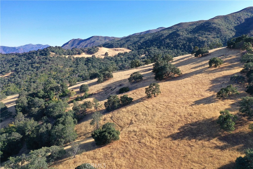 41500 Carmel Valley Road