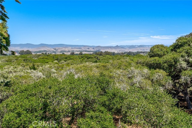 1606 Valley View Drive, Los Osos CA: https://media.crmls.org/medias/244ecb7d-20f6-440d-96fe-cacb106671d7.jpg