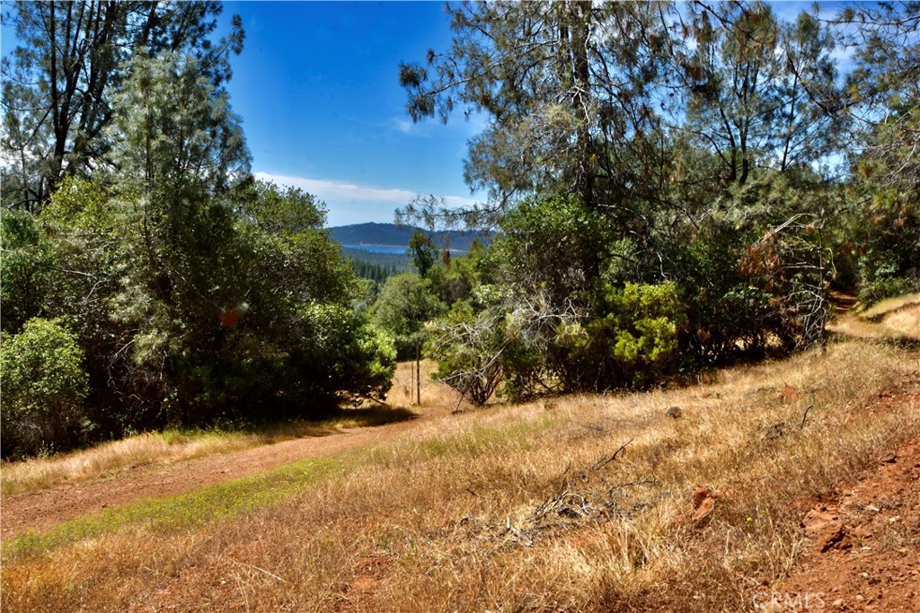 0 Ponderosa Way, Brownsville, CA 95919