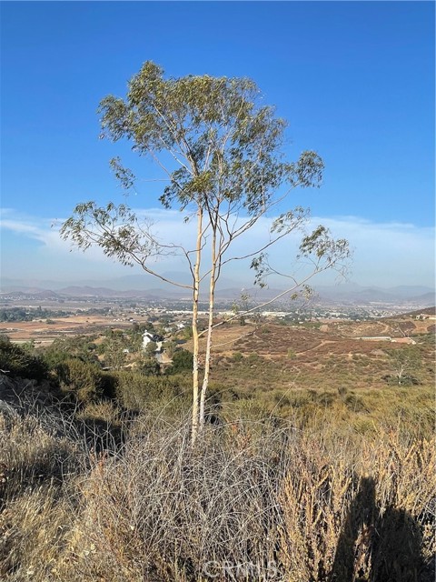 31355 Wild Lilac, Menifee CA: https://media.crmls.org/medias/2455d197-3654-4099-a121-ce5fa84e8f30.jpg