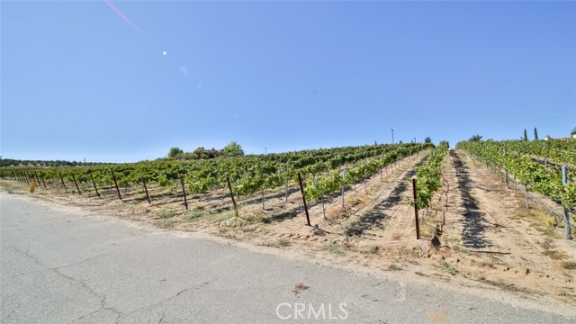 Detail Gallery Image 34 of 39 For 0 Valle Toscana Ct, Temecula,  CA 92592 - – Beds | – Baths