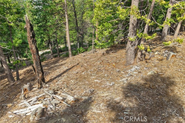 Detail Gallery Image 11 of 24 For 7486 Henness Ridge, Yosemite,  CA 95389 - – Beds | – Baths