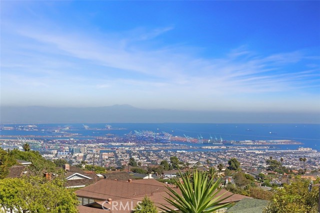 Harbor and Marina View