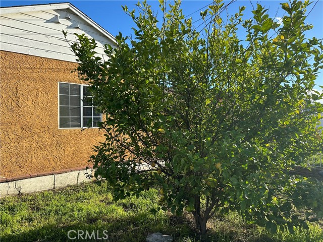 13150 Vaughn Street photo 3