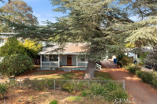 Front Image Thumbnail for CRSR25195923