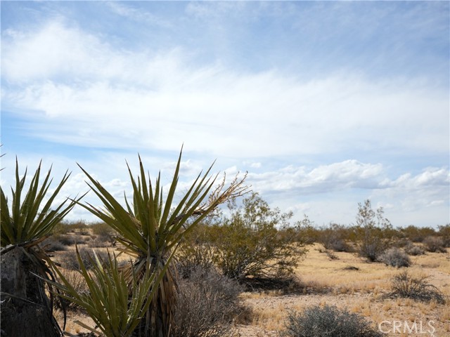 Image 9 of 21 For 0 Belmont Street