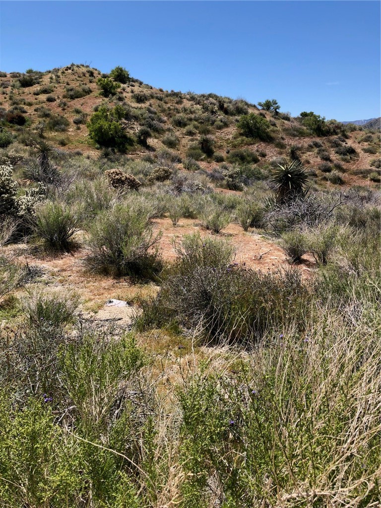 Detail Gallery Image 8 of 10 For 25 Acres  Apn# 0582081110000 / 0582081100000, Morongo Valley,  CA 92256 - – Beds | – Baths