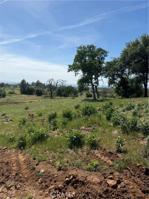 Detail Gallery Image 13 of 33 For 0 Round Valley Ranch, Paradise,  CA 95969 - – Beds | – Baths