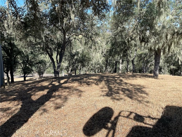 Detail Gallery Image 3 of 8 For 2171 Ridge Rider Rd, Bradley,  CA 93426 - – Beds | – Baths