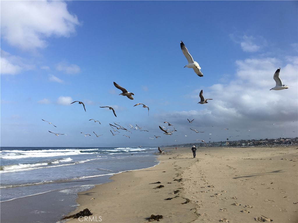 https://media.crmls.org/medias/246a76e3-c820-4a04-9944-a5149f534ca9.jpg?preset=X-Large