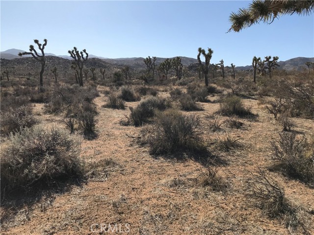 Detail Gallery Image 4 of 7 For 100 Gods Way Love Rd, Pioneertown,  CA 92268 - – Beds | – Baths