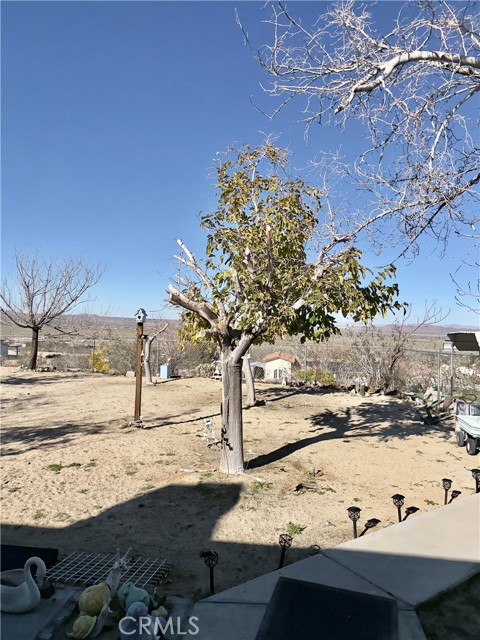 Detail Gallery Image 32 of 57 For 7117 Bonita, Joshua Tree,  CA 92252 - 3 Beds | 2 Baths