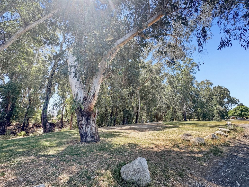 https://media.crmls.org/medias/247d165d-6b04-4840-b6c6-867b3a94f6cc.jpg?preset=X-Large
