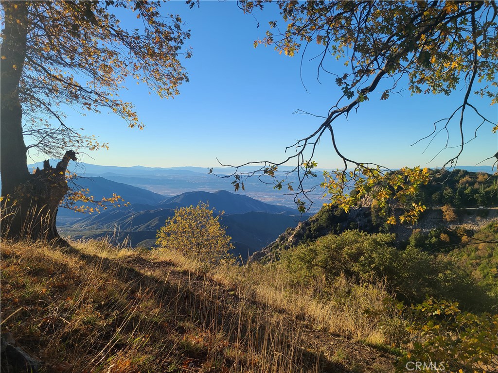https://media.crmls.org/medias/247d5dfb-d7ac-415b-a376-e05a8048fa0b.jpg?preset=X-Large