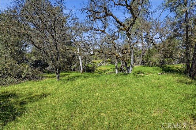 Detail Gallery Image 11 of 29 For 4260 Burl, Mariposa,  CA 95338 - – Beds | – Baths