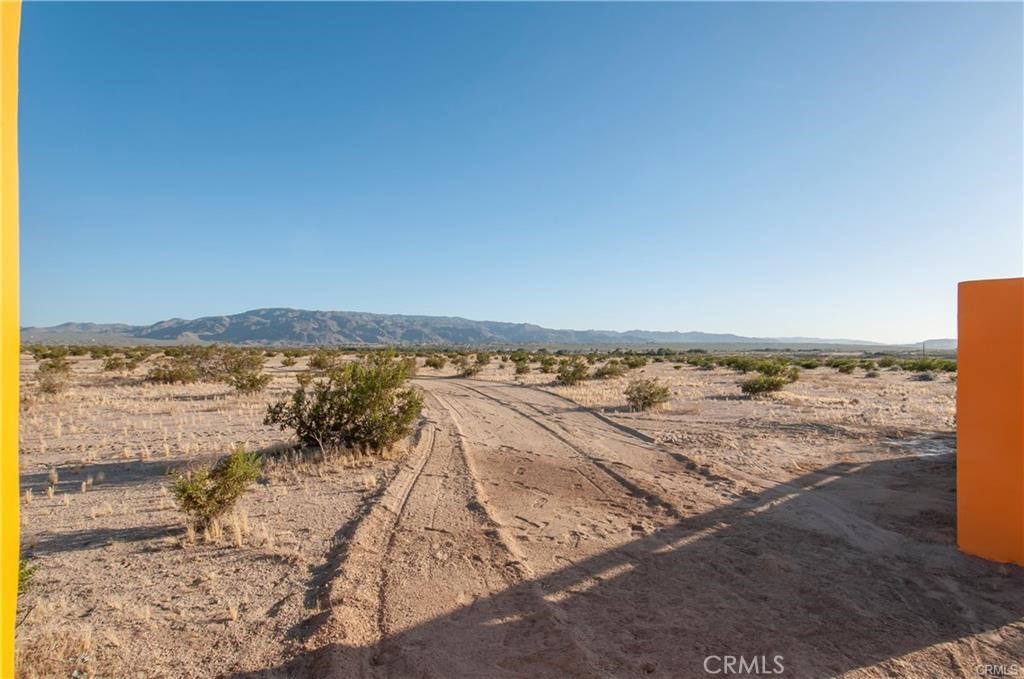 MLS #JT24014516 image #10