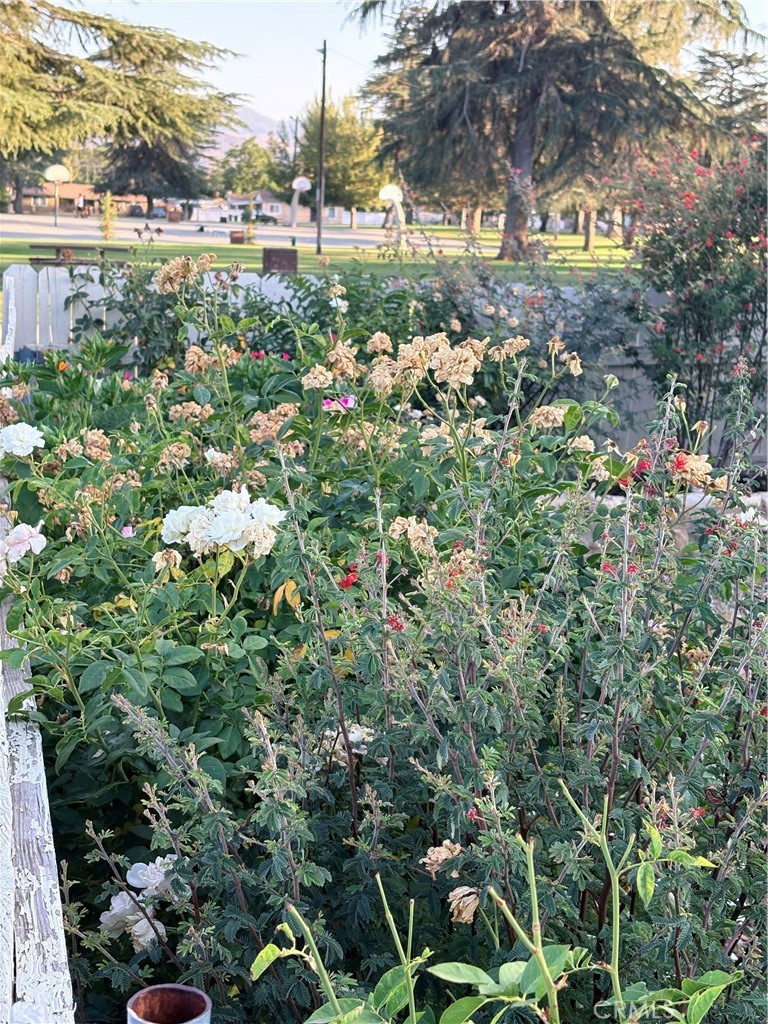 https://media.crmls.org/medias/24911a58-3a51-4e7a-aef5-ed3e4c490d79.jpg?preset=X-Large