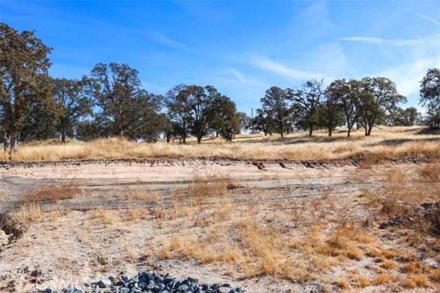 0 .62 AC Wisteria Way, O'Neals CA: https://media.crmls.org/medias/2494625e-9f97-479c-b704-28f3b6c4d184.jpg