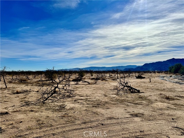 Detail Gallery Image 66 of 67 For 44823 Silver Valley, Newberry Springs,  CA 92365 - 2 Beds | 2 Baths