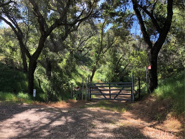 Detail Gallery Image 4 of 12 For 777 Tepusquet Rd, Santa Maria,  CA 93454 - – Beds | – Baths