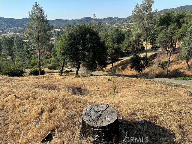 10255 Carrousel Drive, Redding CA: https://media.crmls.org/medias/24aae475-a225-4d15-b0b9-daa44a589080.jpg
