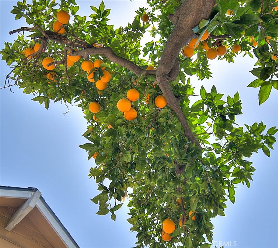https://media.crmls.org/medias/24ab0184-67d5-40af-adf8-97285fb31a73.jpg?preset=X-Large