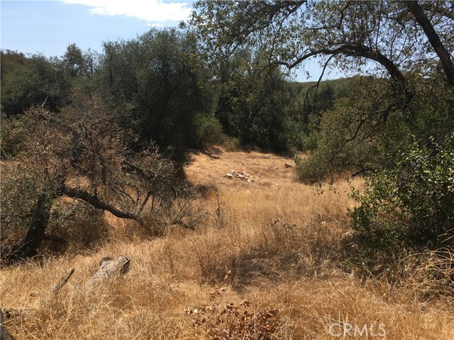 19879 Tenaja Road, Murrieta, California 92562, ,Land,For Sale,19879 Tenaja Road,CRSW22195708