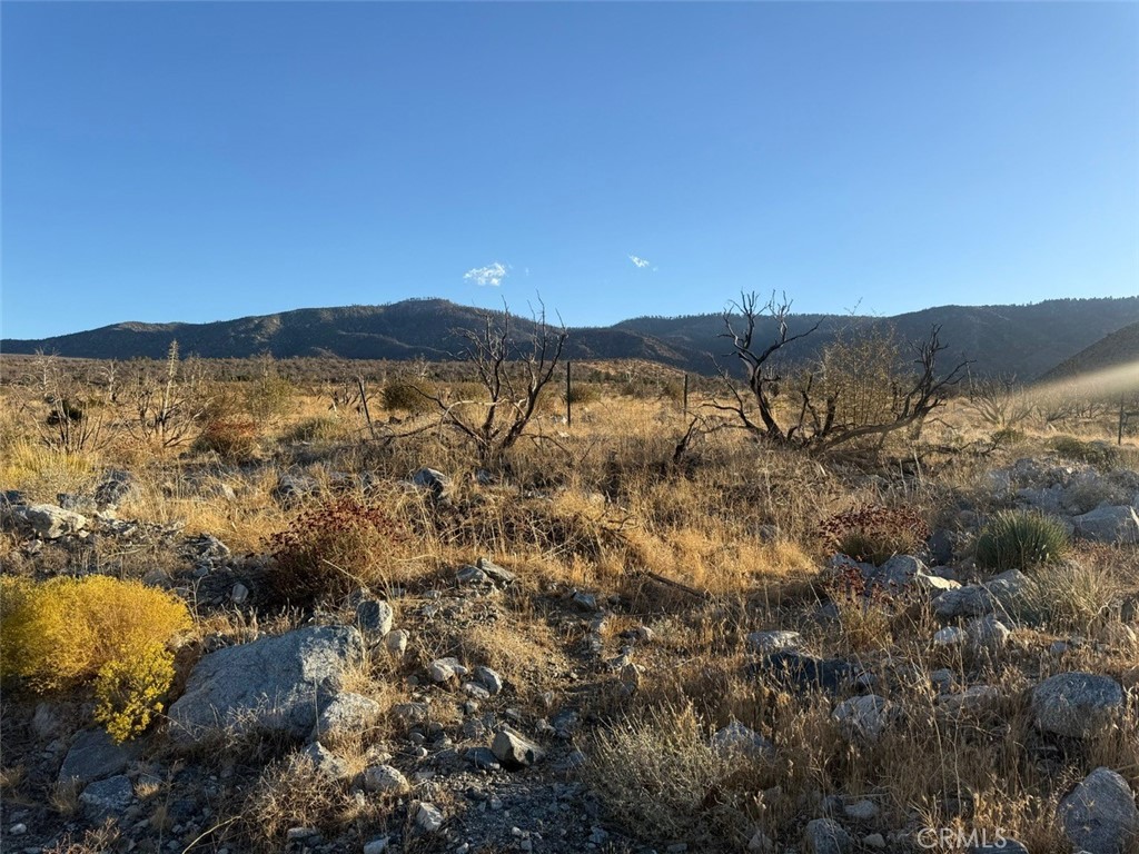 MLS #HD25232723 image #8