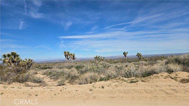 Detail Gallery Image 25 of 50 For 0 Fort Tejon Rd Vicinity 181st St E, Llano,  CA 93544 - – Beds | – Baths