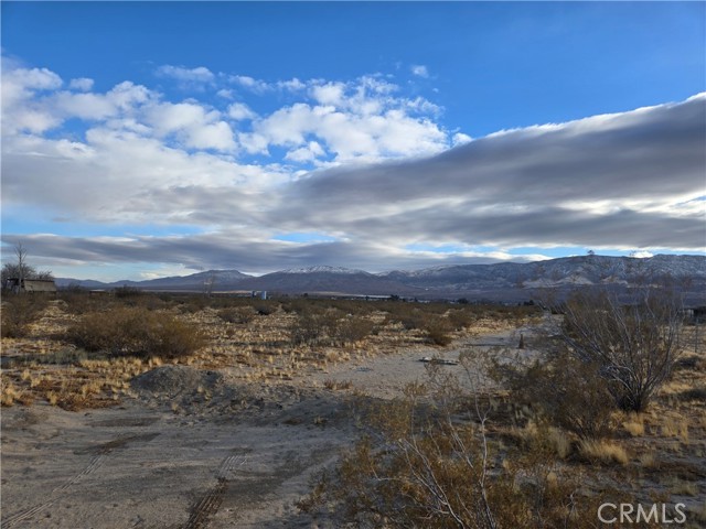 Detail Gallery Image 3 of 7 For 5 Acres Colby St, Lucerne Valley,  CA 92356 - – Beds | – Baths