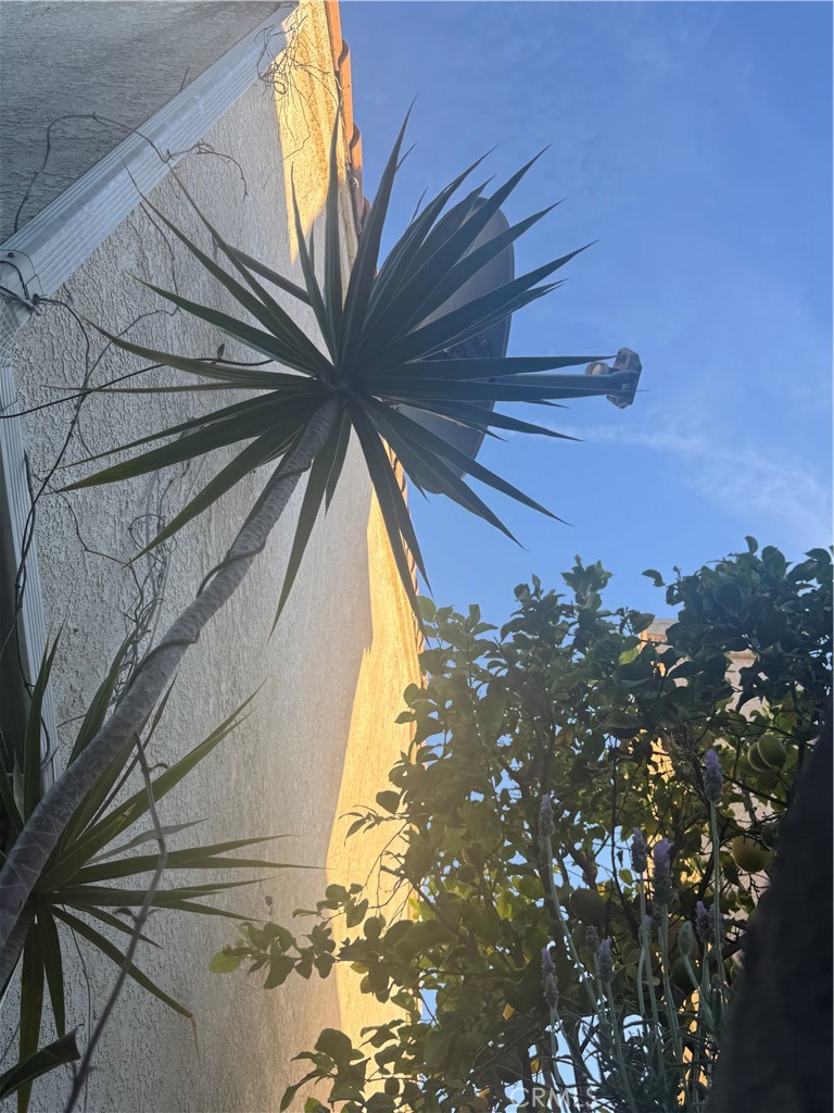 MLS #SR25279105 image #29