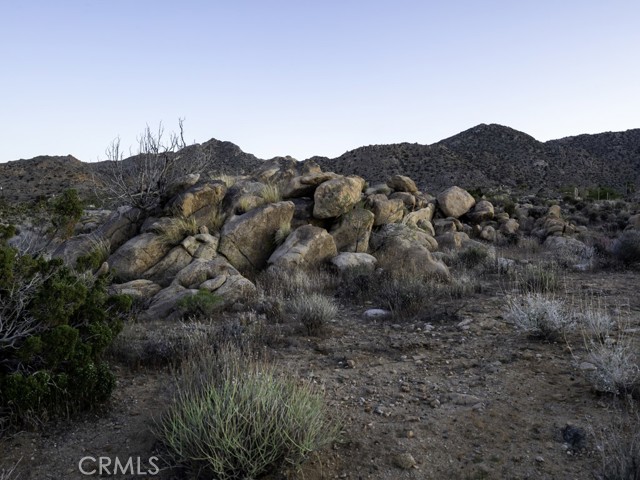 Detail Gallery Image 42 of 45 For 8530 via Rocosa, Joshua Tree,  CA 92252 - 1 Beds | 1 Baths