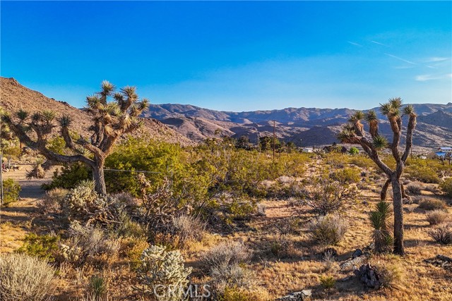 Detail Gallery Image 59 of 60 For 8762 California Ave, Joshua Tree,  CA 92252 - 2 Beds | 1 Baths